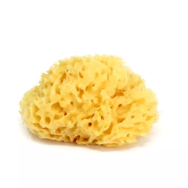 ΣΦΟΥΓΓΑΡΙ ΜΠΑΝΙΟΥ HONEYCOMB